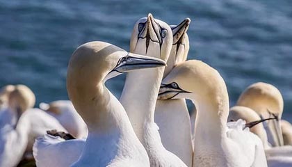 九游.中国官网-体育赛事品牌建设创新策略研究，体育赛事品牌建设创新策略研究论文